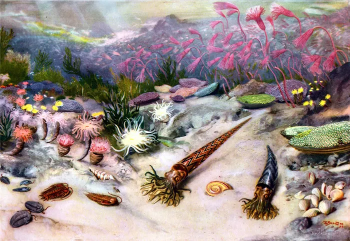 Ордовикско-силурийское вымирание, около 450—440 млн лет назад