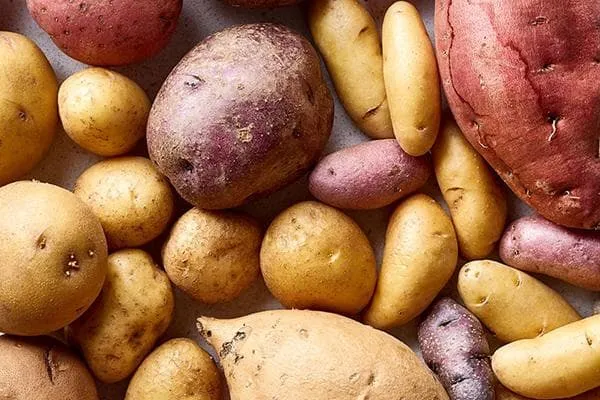 Разные сорта и виды картофеля
