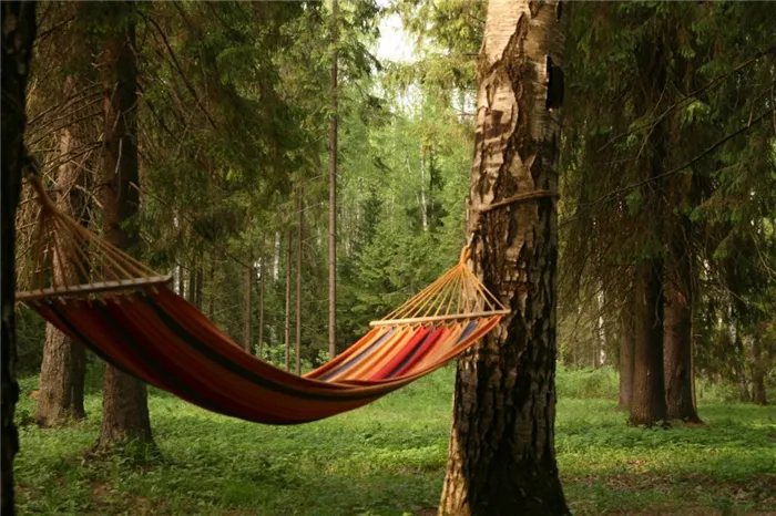 Зеленый отдых: восемь причин провести выходные на природе. Отдых на природе