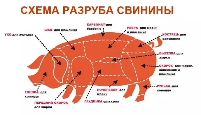 Какую часть свинины лучше брать для шашлыка
