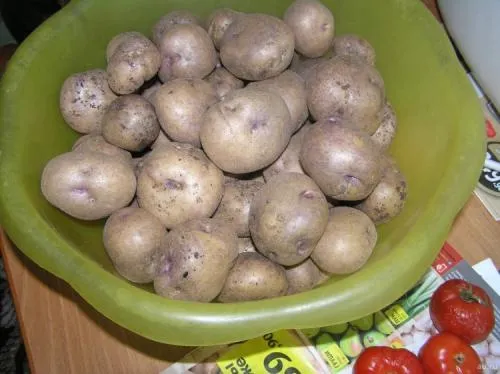 Сорта белой картошки. Популярные сорта белого картофеля