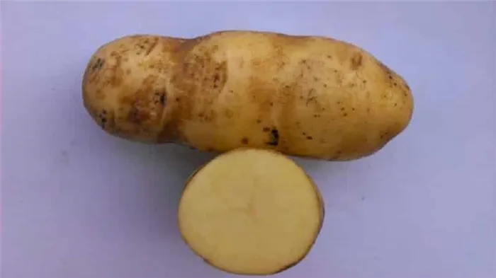 Какие сорта картофеля лучше подходят для жарки: красные или белые