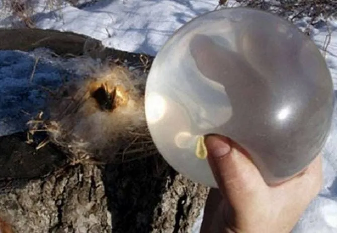 Презерватив с водой может стать заменой лупе для добычи огня