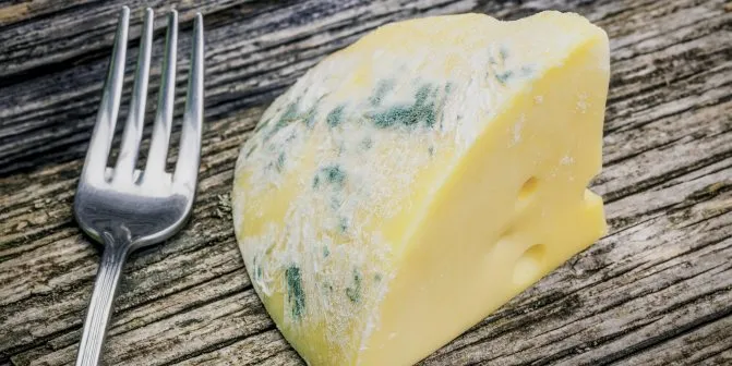 Безопасно ли есть заплесневелый сыр?