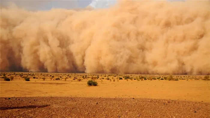 Песчаная буря - самая главная опасность пустыни