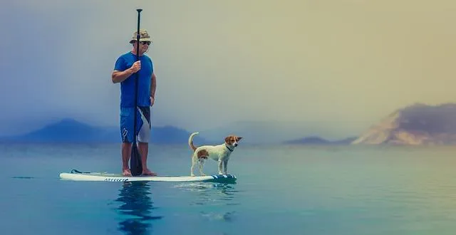 Мужчина с собакой на доске для серфинга