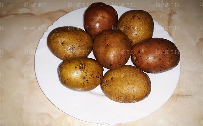 Фото 1 как варить картошку в кастрюле
