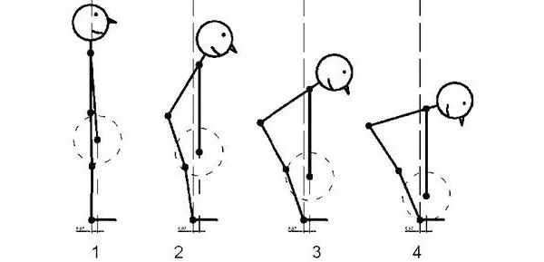 Схематичное изображение движения штанги