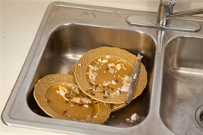 Как избавиться от тараканов в общежитии масштабы заражения помещения, важность профессиональной дезинсекции и профилактики заражения каждой комнаты, грязная посуда