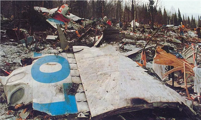 Кто выжил после падения самолета - Stone Forest