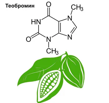 структурная формула теобромина на фоне какао-бобов