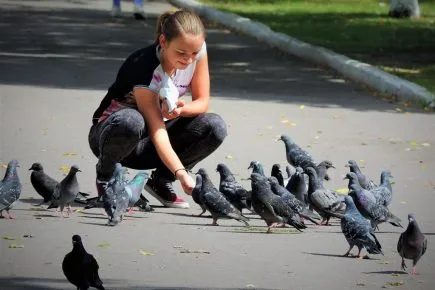 Девушка кормит голубей
