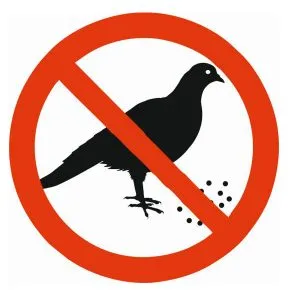 Баннер, запрещающий подкармливание диких птиц