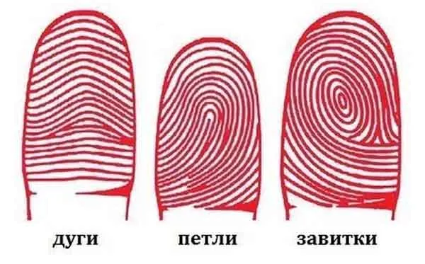 Типы отпечатков пальца