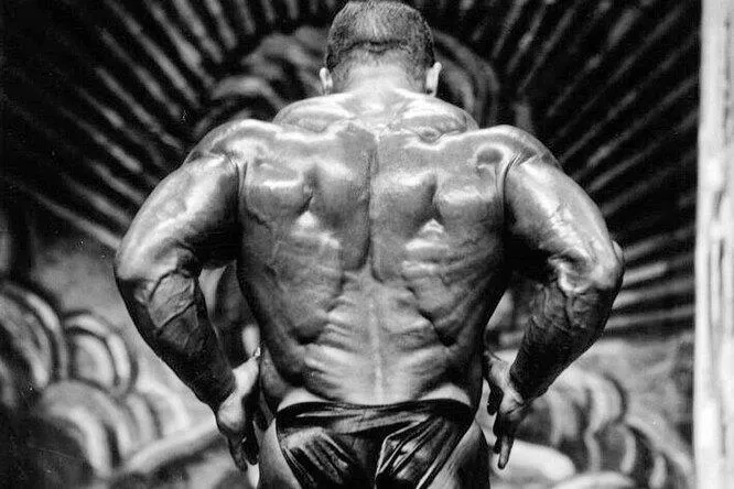 Шестикратный «Мистер Олимпия» рекомендует: тренировка широчайших мышц спины